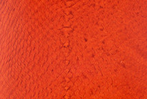 Salmon Skin Glazed Orange