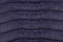 Caiman Tail Matte Purple