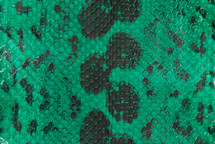 Anaconda Skin Glazed Emerald