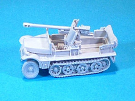 SdKfz 10 with 50mm AT Gun. WSW 872216