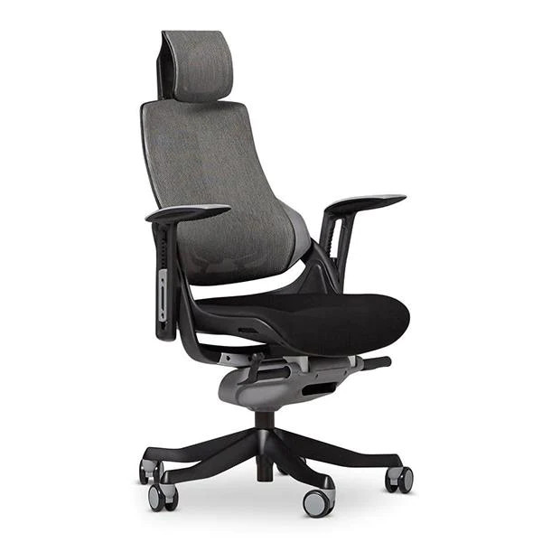 https://cdn2.bigcommerce.com/n-pktq5q/r0d7vetl/products/2204/images/7454/Desky-Ergo-Pro_-Office-Chair_1200x__60213.1681887118.1280.1280.jpg?c=2