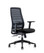 Alden Mesh High Back Mesh Chair - Black