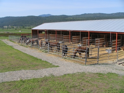 How to Find a Good Horse Boarding Facility - saddleupcolorado