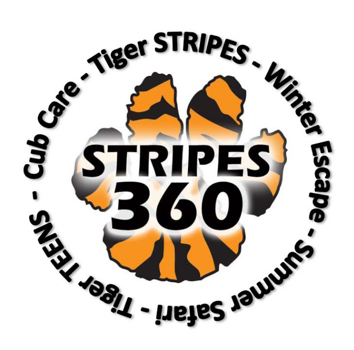 capture-stripes-360.png