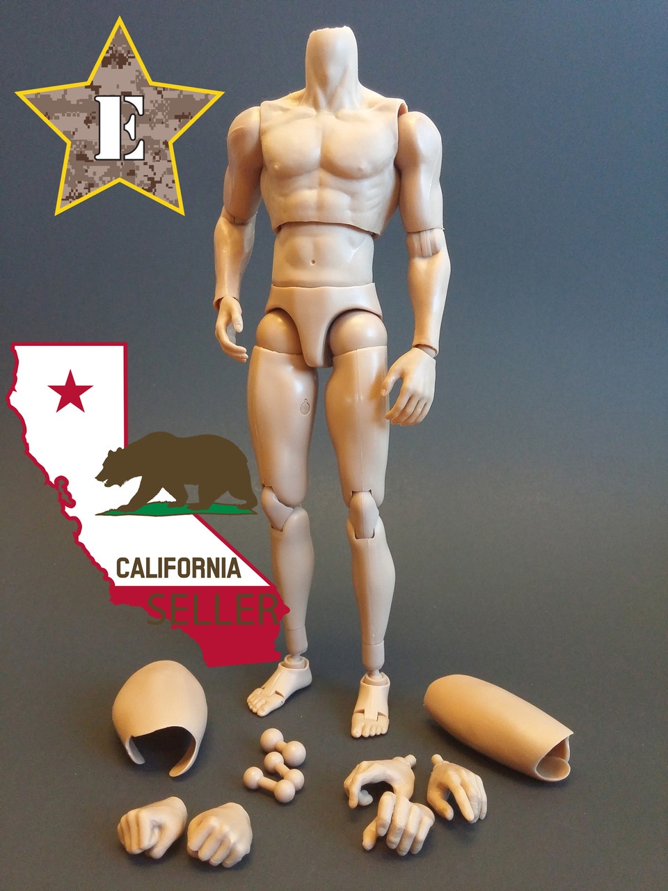 ZYTOYS 12'' Scale Male Body  Nude Muscular Body for 1/6 Action Figure No Head