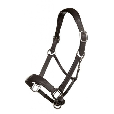 Mira Padded Leather Halter in Brown