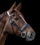 Glamour Snaffle Bridle from Premium S-Line of Wembley
