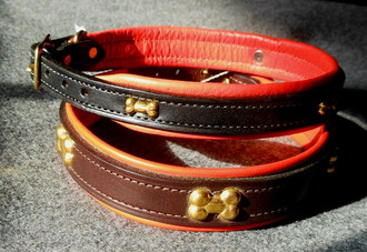 Dog Collar with Brass Bone Embellishments