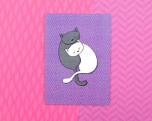 Black and White Cuddly Cats - Greetings Card