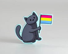 Pride Cat - Pansexual Flag - Acrylic Pin