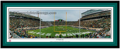 MSU Spartans 19 Yard Line Panoramic Picture matted
