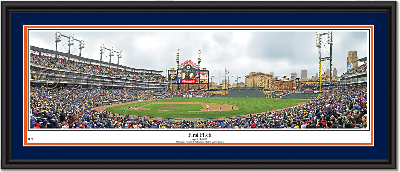 Comerica Park Reviews