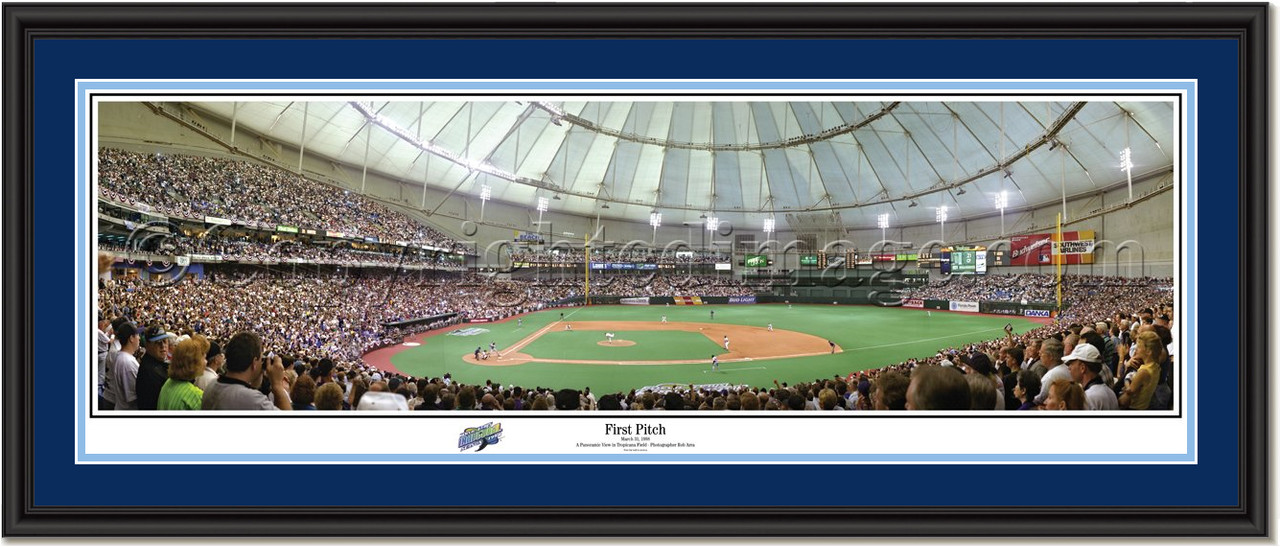 Tampa Bay Rays Tropican Field First Pitch Framed Picture