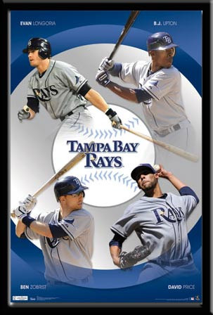 David Price Tampa Bay Rays Collectible Baseball Card 