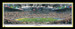 Steelers Super Bowl XL Panoramic Picture