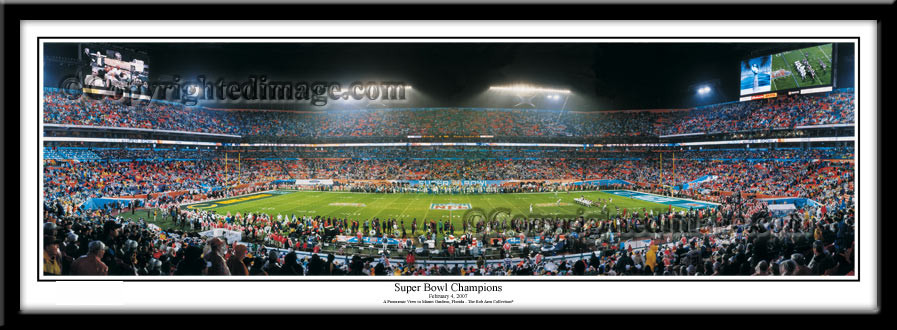 Indianapolis Colts Super Bowl XLI 50 Yard Line NFL Picture