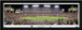 Pittsburgh Steelers Super Bowl XLIII Panoramic Picture matted