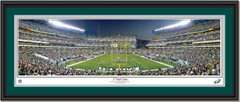 Philadelphia Eagles Lincoln Financial Field 17 Yard Line Framed Picture Double Mat and Black Frame