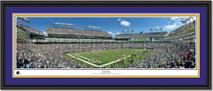 Ravens M & T Bank Stadium 9 Yard Line Panoramic Picture