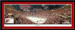 Detroit Red Wings 2008 Stanley Cup Champions With Insets Poster