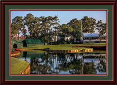 Sawgrass 17th Hole Framed Golf Photo