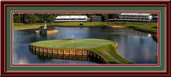 TPC Sawgrass 17th Green Panoramic Framed Golf Photo