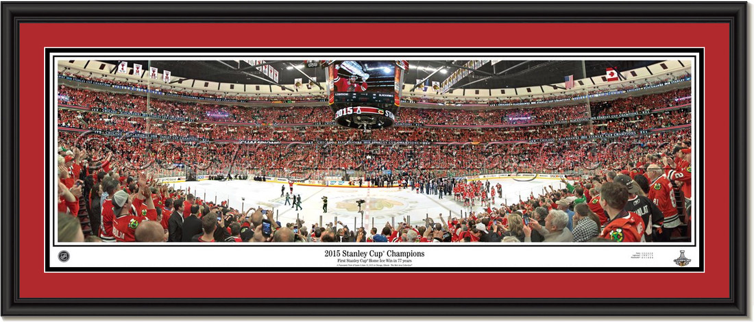 Chicago Blackhawks 2015 Stanley Cup Champions Picture double matted