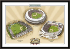 Washington DC Historic Ballparks of Baseball Framed Print