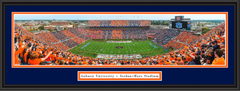 Auburn Tigers Stripe Jordan Hare Stadium Framed Picture