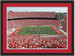 Ohio State Script Personalized Your Name on the Field Framed