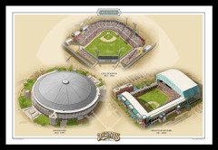 Houston Historic Ballparks of Baseball Framed Print
