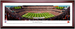 Cleveland Browns FirstEnergy Stadium Framed Panoramic Picture