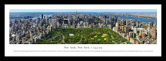 NYC Central Park Framed Picture