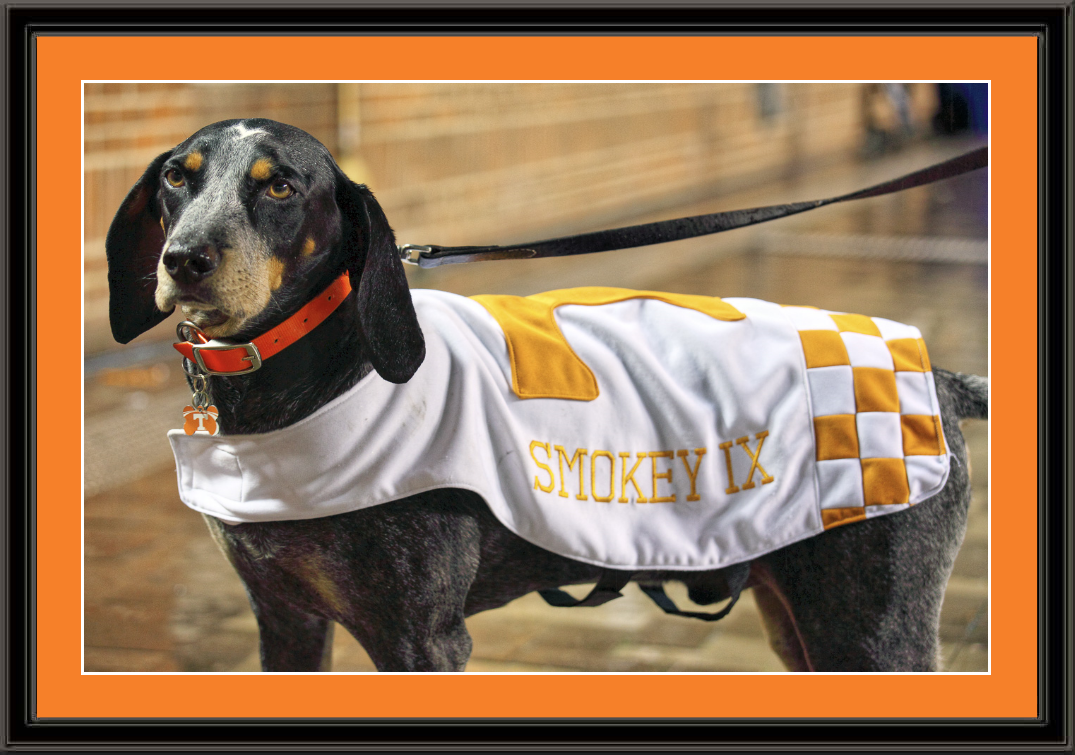 Tennessee Volunteers Mascot Smokey