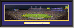 LSU Tiger Football Stadium Framed Panoramic Picture 