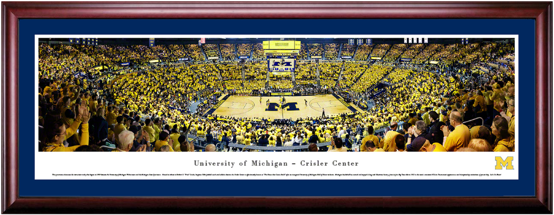 Michigan Wolverines Basketball Crisler Center Framed Print