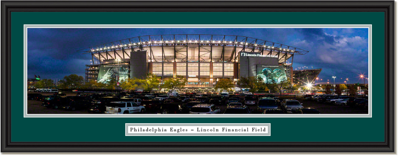 Philadelphia Eagles 2018 Banner Night at Lincoln Field Framed Panoramic