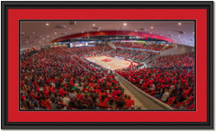 Houston Cougars Basketball Feritta Center Framed Print 