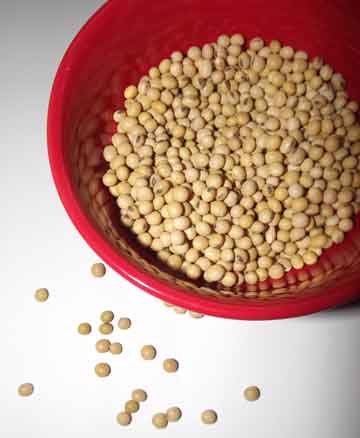 dried-soybeans-in-bowl.jpg