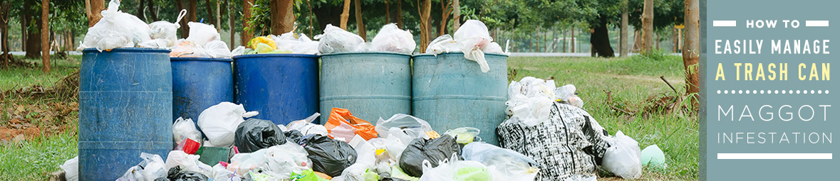 Maggots In Trash How To Easily Manage A Maggot Infestation In Your   How To Easily Manage A Trash Can Maggot Infestation 