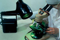 Jelight / UVP B-100YP Inspection Lamp