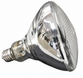 JLT 34-0054-01 100W UV Spot Lamp 
For JLT B-100A, B-100YP