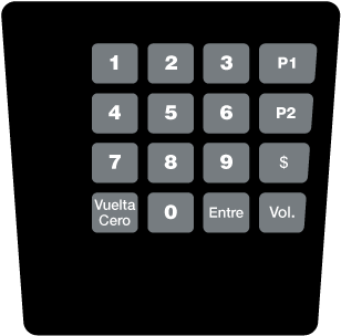 GA-ENE1705G005 Keypad Overlay