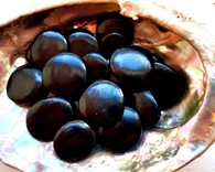 Shungite Disc from Russia