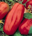 WHOLESALE SAN MARZANO TOMATO-1,000 SEEDS