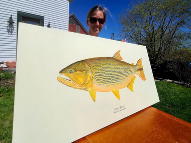 The original painting of the Golden Dorado