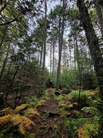 Monhegan Scientific Illustration Workshop - 2-Day (2-4 October 2026)