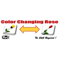 Color Changing Rose Magic Trick by Mr. Magic