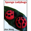 Set of 4 Sponge Lady Bugs by Alan Wong