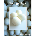 Set of 4 Sponge Eggs by Alan Wong